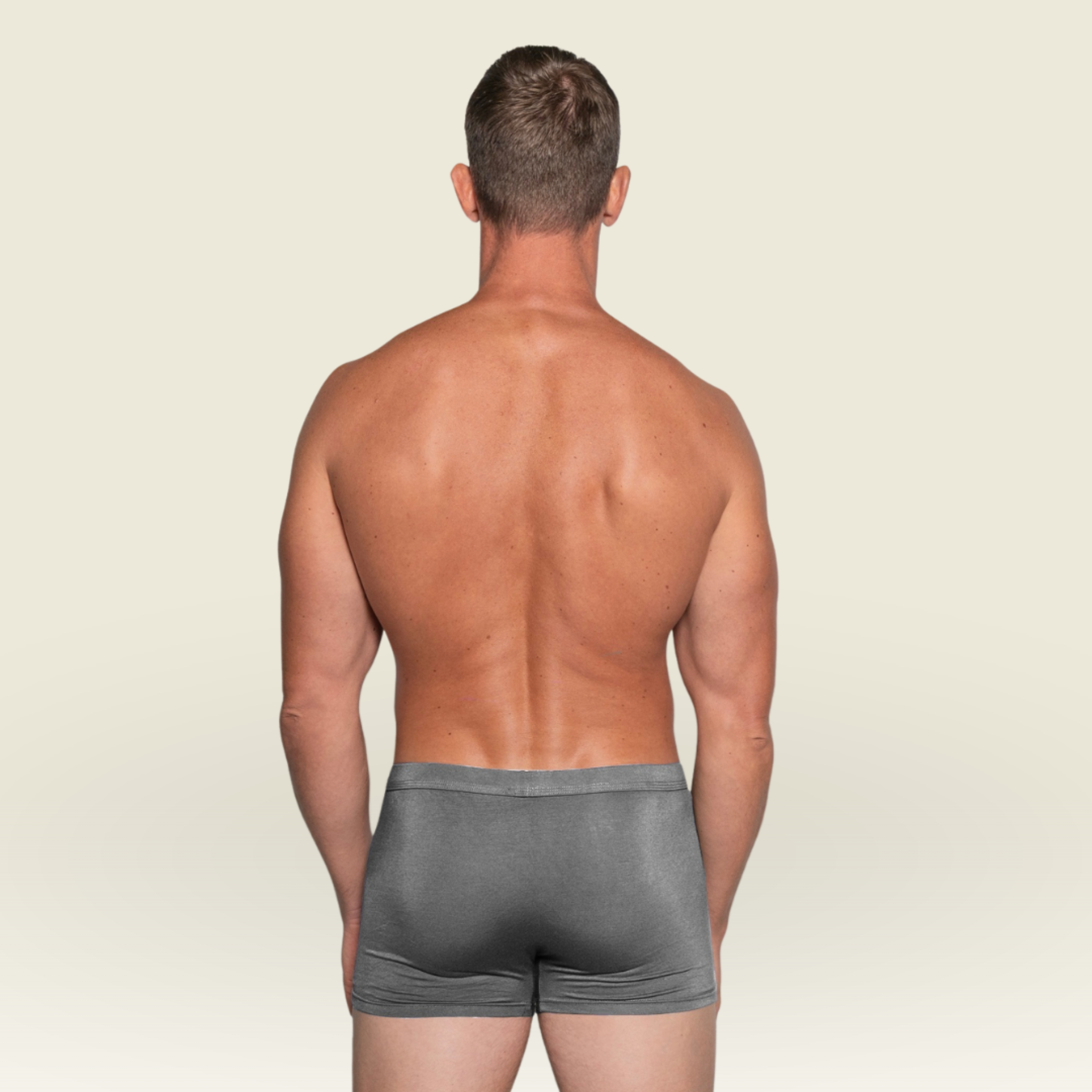 BIOFIT Essentials Boxer Trunks Grey