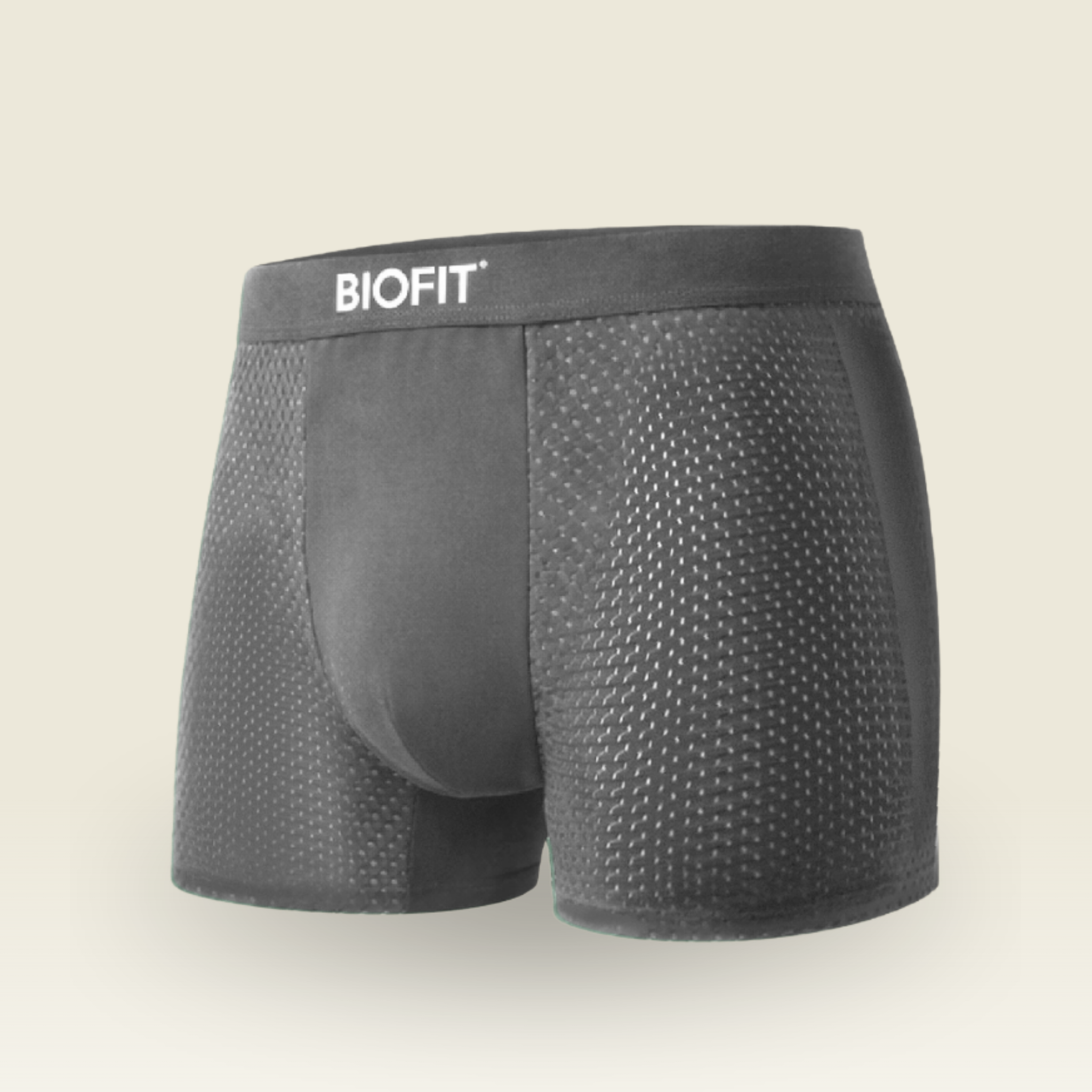 BIOFIT Essentials Boxer Trunks Grey
